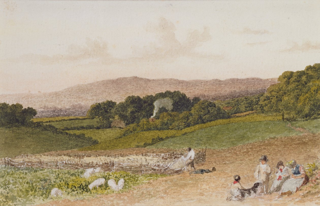 Het Koolveld door Robert Hills
