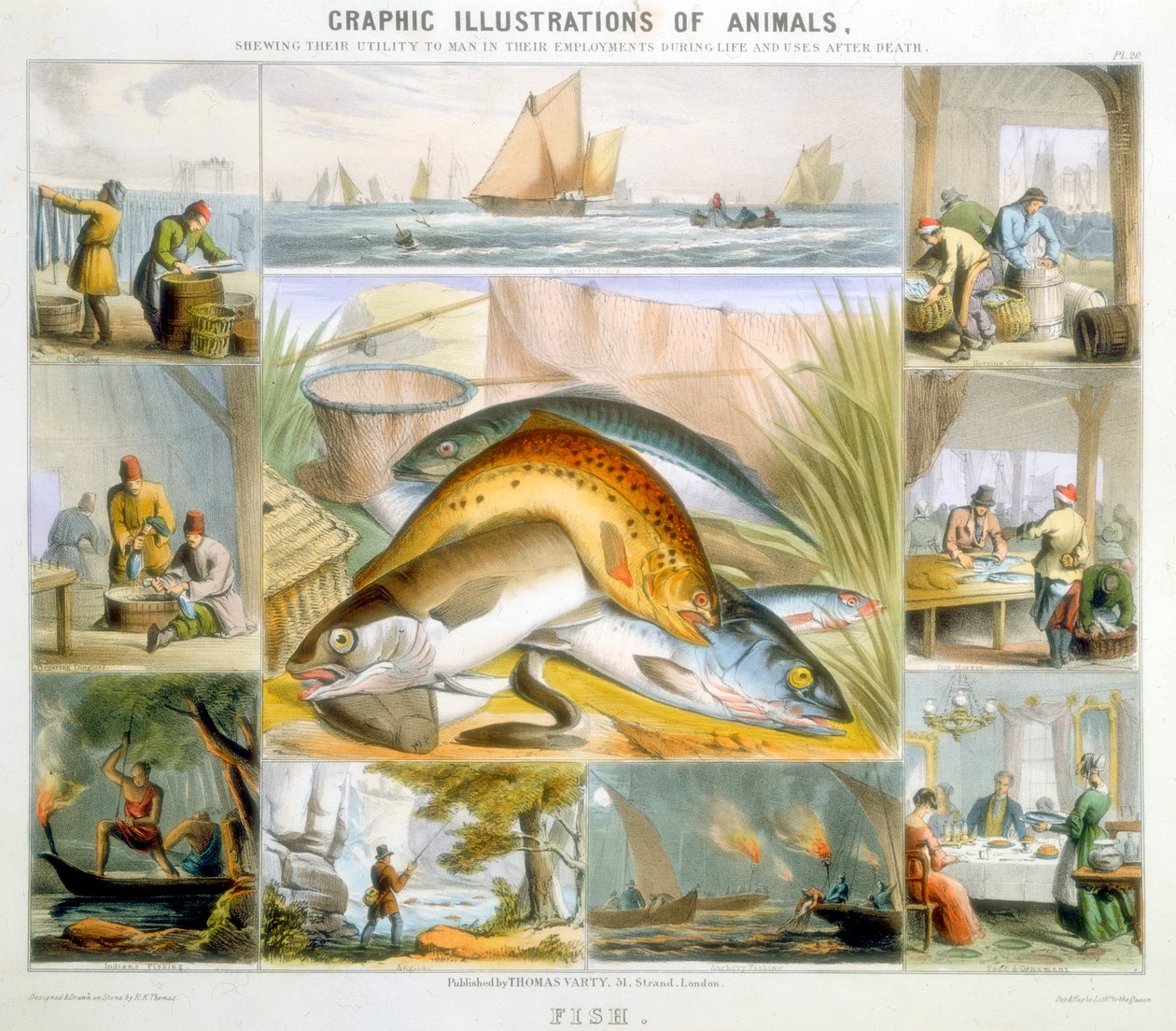 Vis, ca. 1850 door Robert Kent Thomas