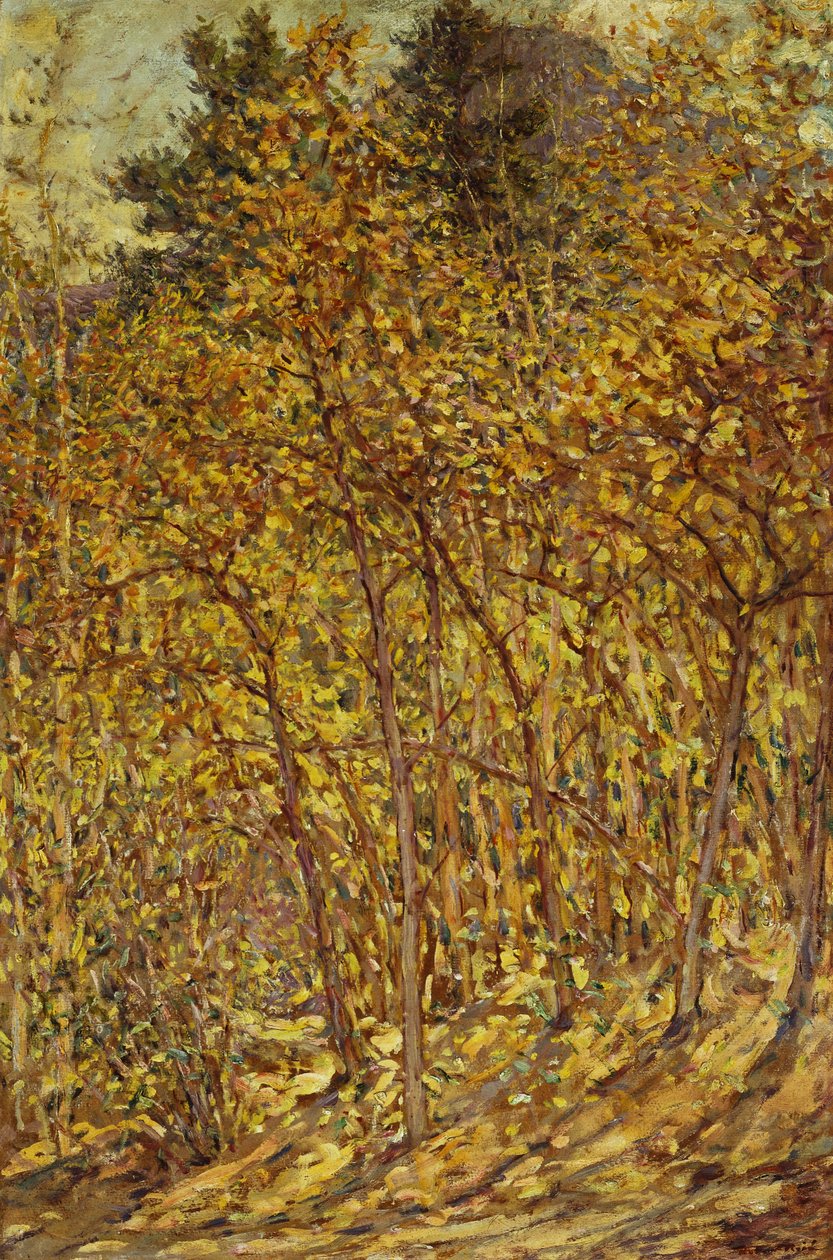 Herfstzonlicht door Robert Reid