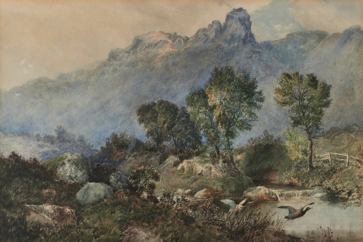 Landschap met Wilde Eenden door Robert Scott Temple
