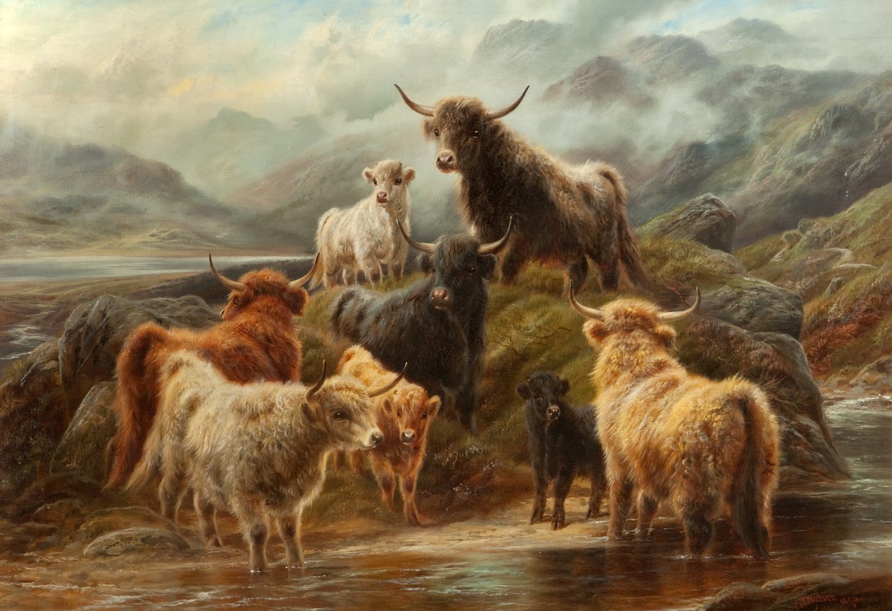 Hooglandvee, 1894 door Robert Watson