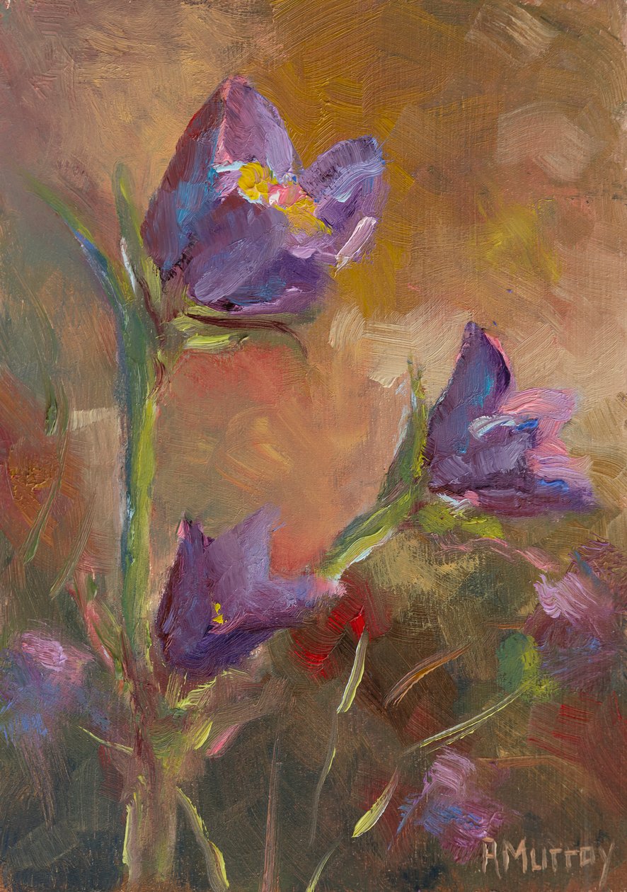 Prairie Krokus door Roberta Murray