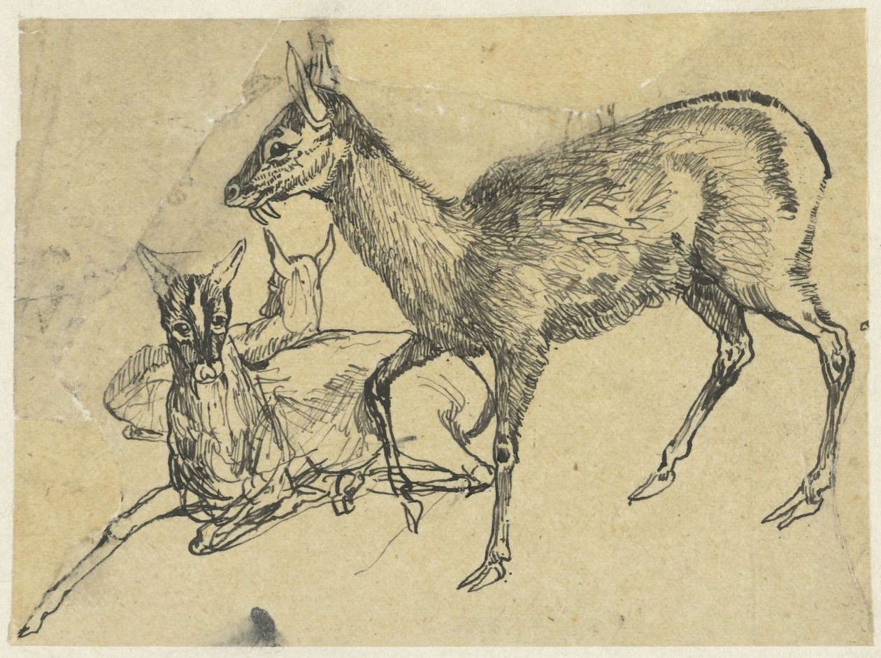 Drie herten door Rodolphe Bresdin