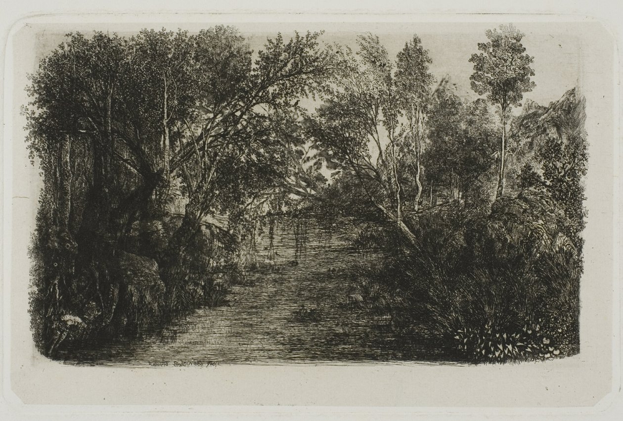 De kreek door Rodolphe Bresdin