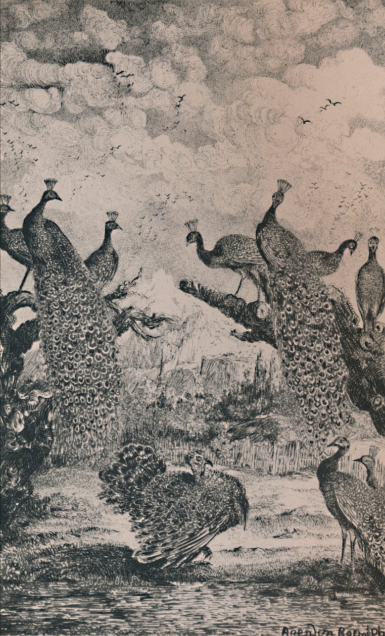 De Pauwen, 1869, 1946 door Rodolphe Bresdin
