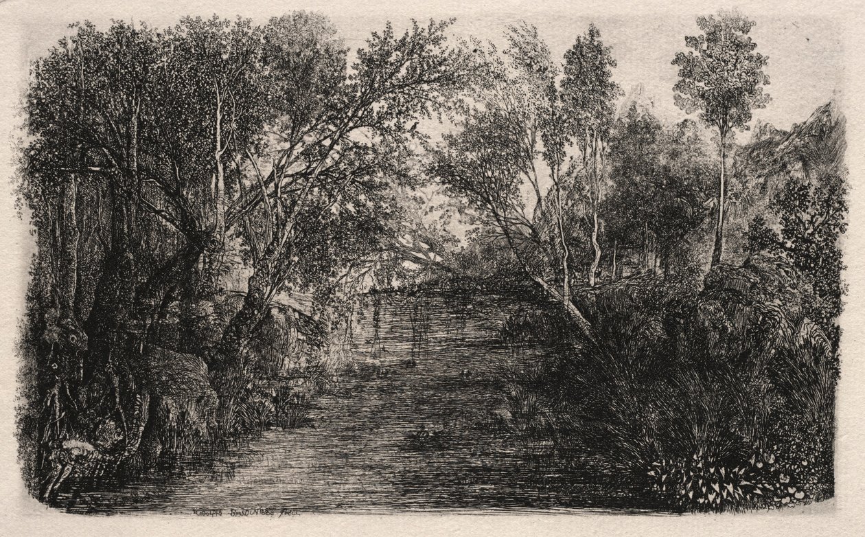 De stroom, 1880 door Rodolphe Bresdin