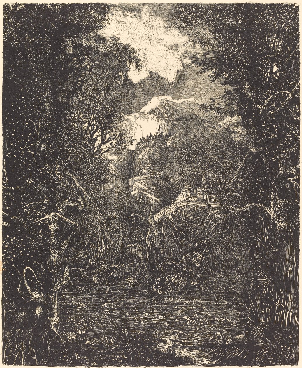 De steden achter het moeras door Rodolphe Bresdin