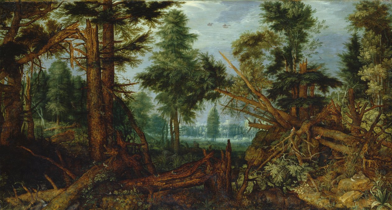 Bos na de storm door Roelandt Jacobsz. Savery