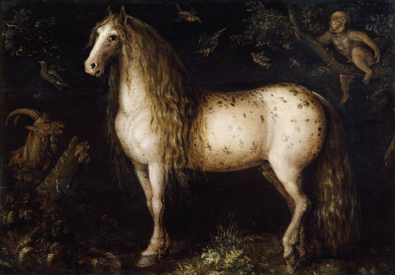 De Schimmel door Roelant Saverij