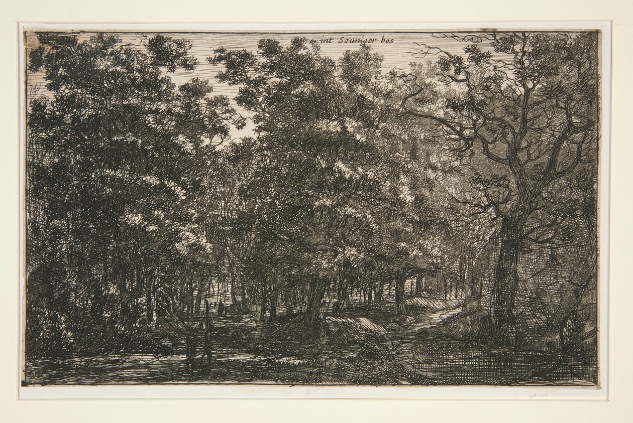 In het Seuniger Bos door Roelant Roghman