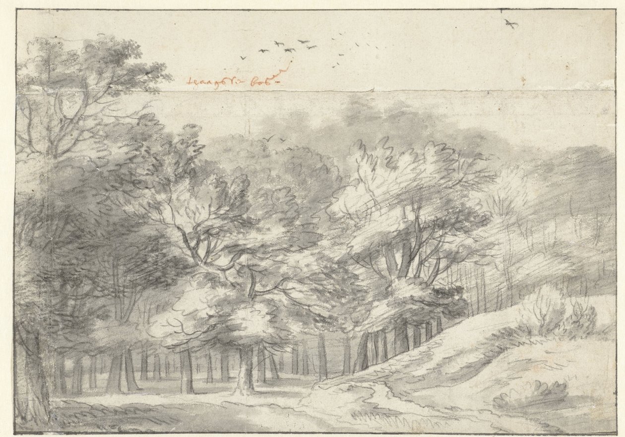 Gezicht in het Haagse Bos door Roelant Roghman