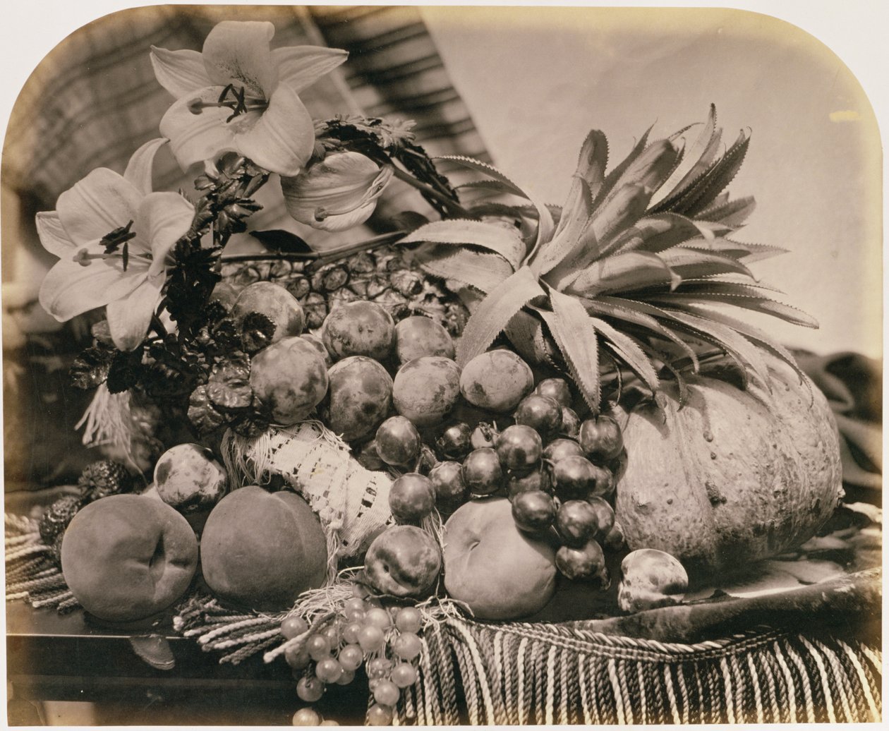 Stilleven met fruit, 1860 door Roger Fenton