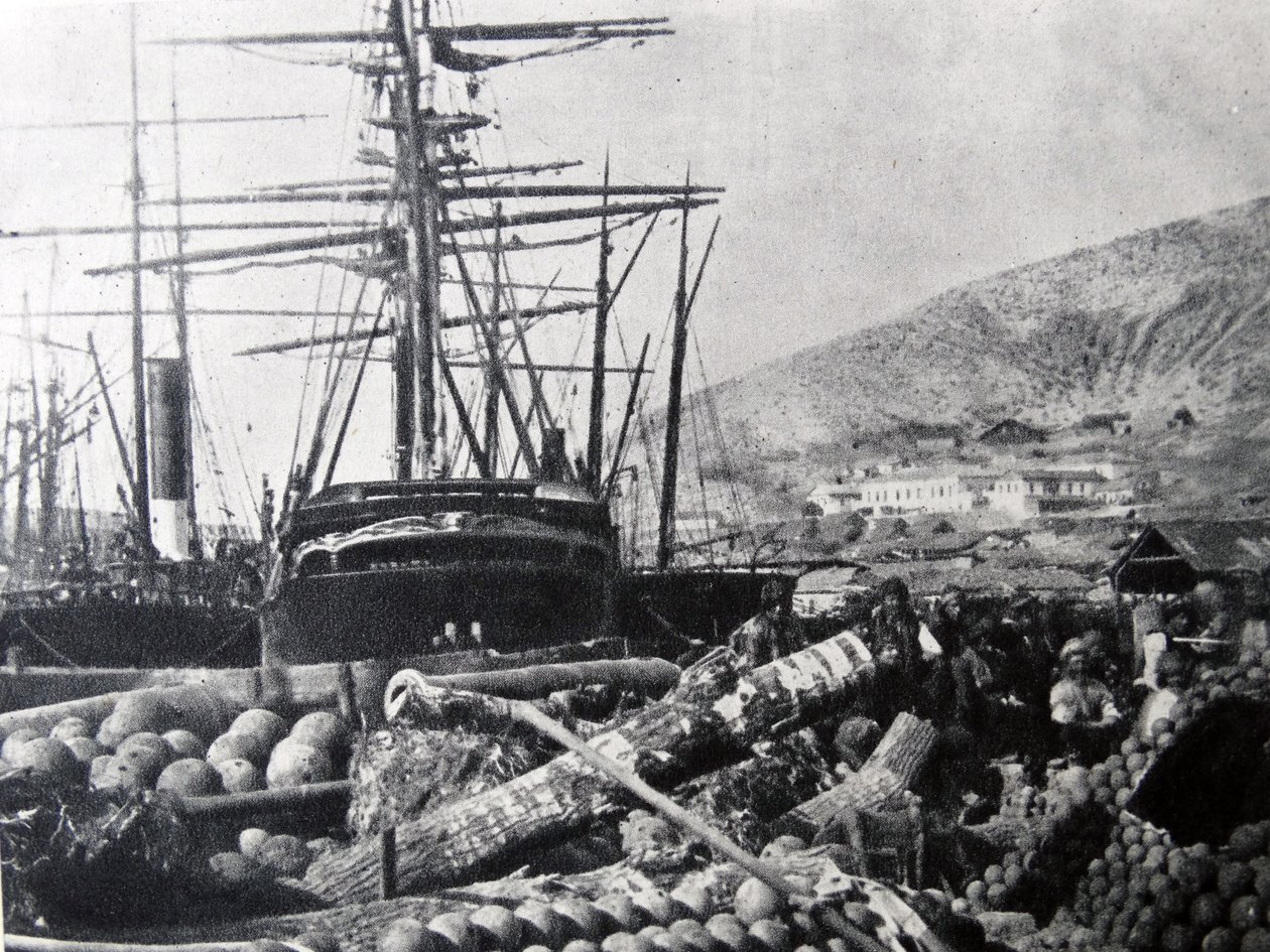 De Ordnance Wharf, Balaclava door Roger Fenton