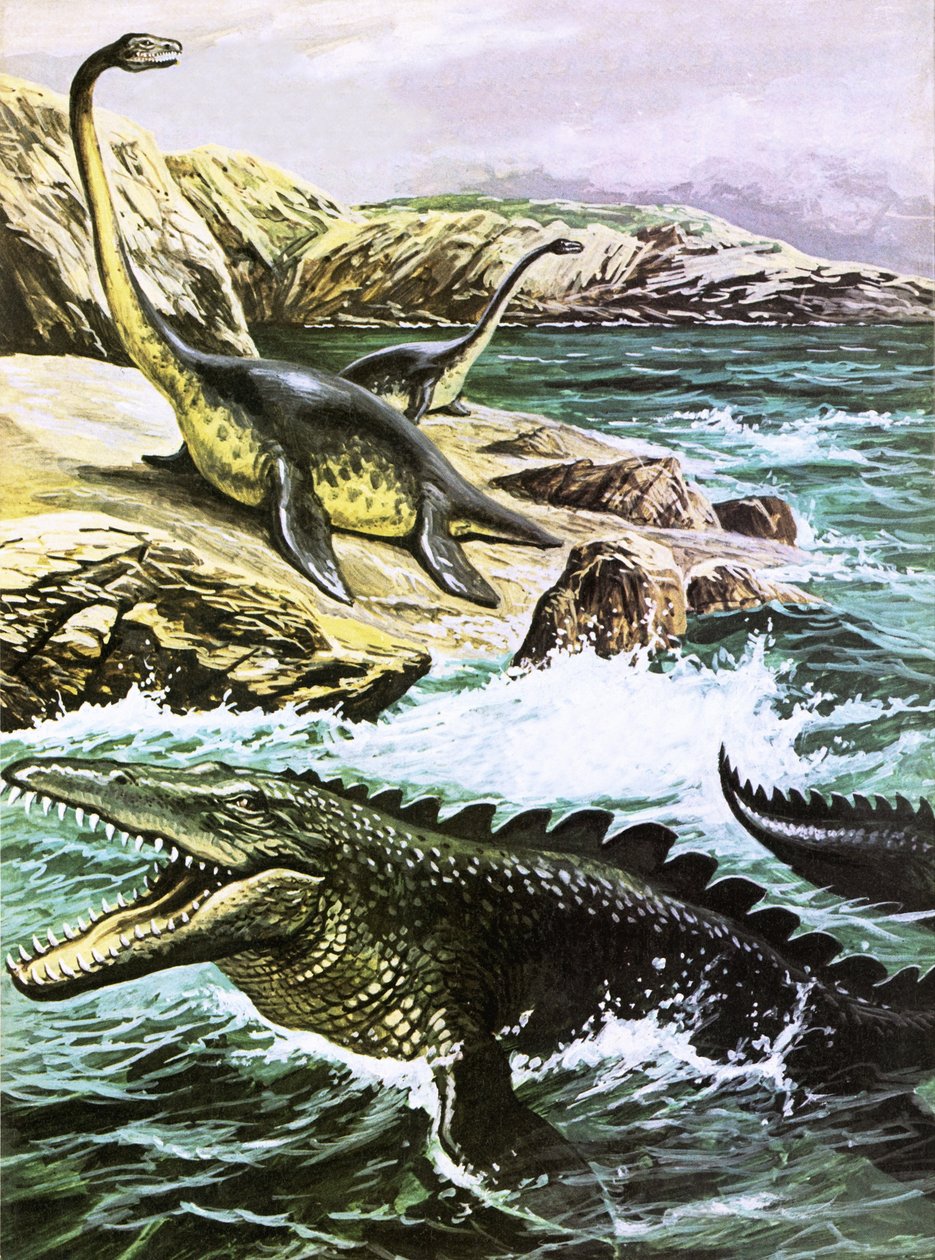 Plesiosaurus (boven) en Tylosaurus (onder) door Roger Payne