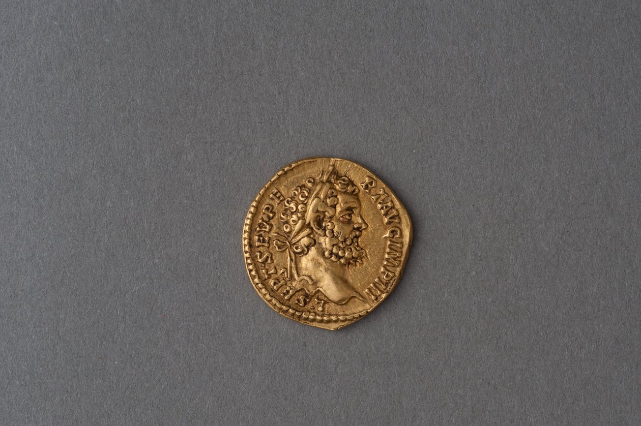 Aureus van Septimus Severus (goud) door Roman