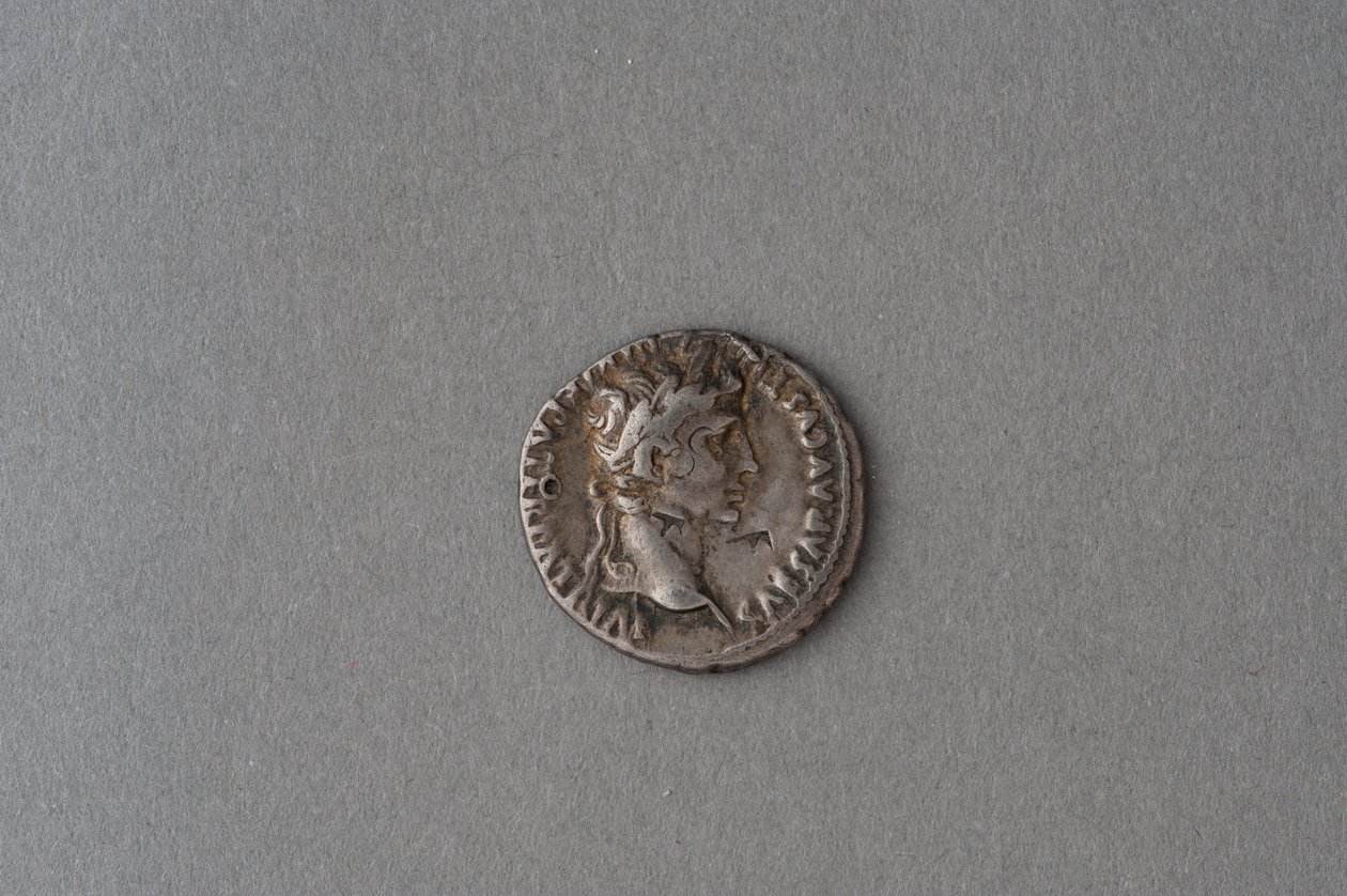 Denarius van Augustus door Roman