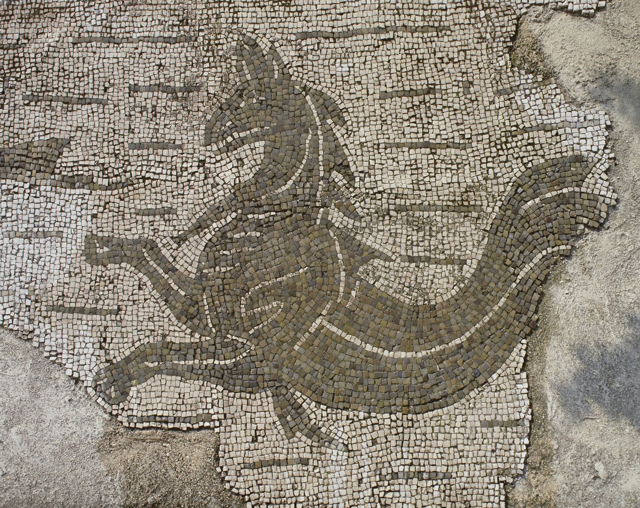 Draak (mozaïek) door Roman