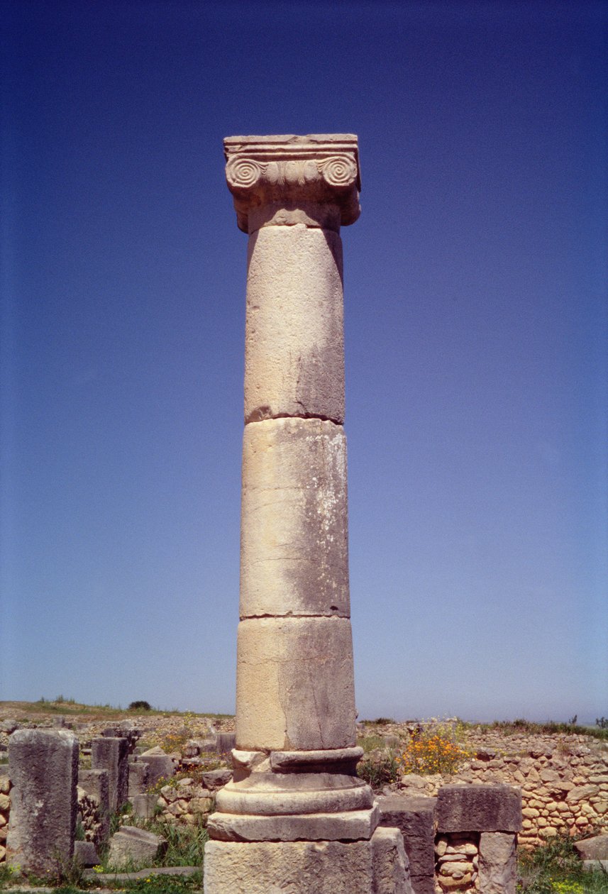 Ionische zuil op de Decumanus Maximus door Roman