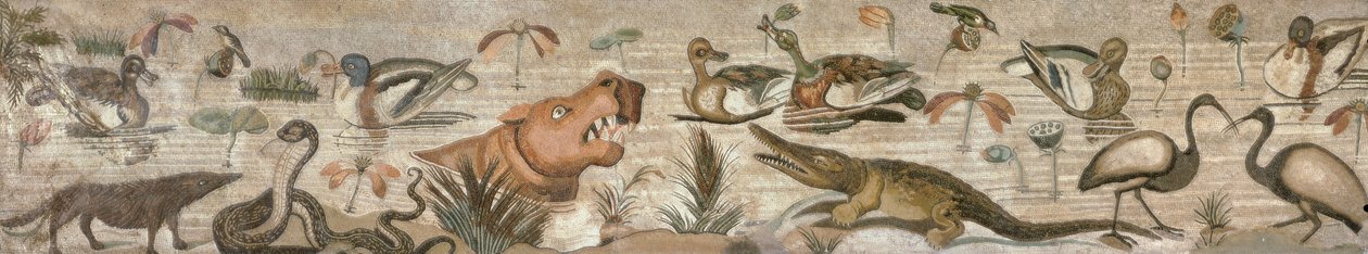 Nijl Scène, uit de Casa del Fauno (Huis van de Faun) Pompeii door Roman