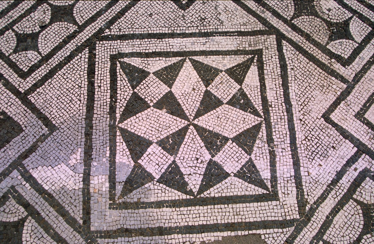 Patroonvloer (mozaïek) door Roman