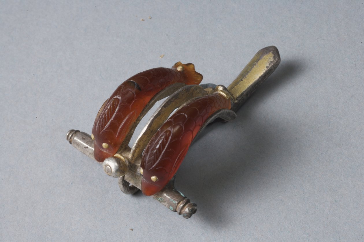Fibula met dolfijnen (carnelian, goud en zilver) door Roman Imperial Period