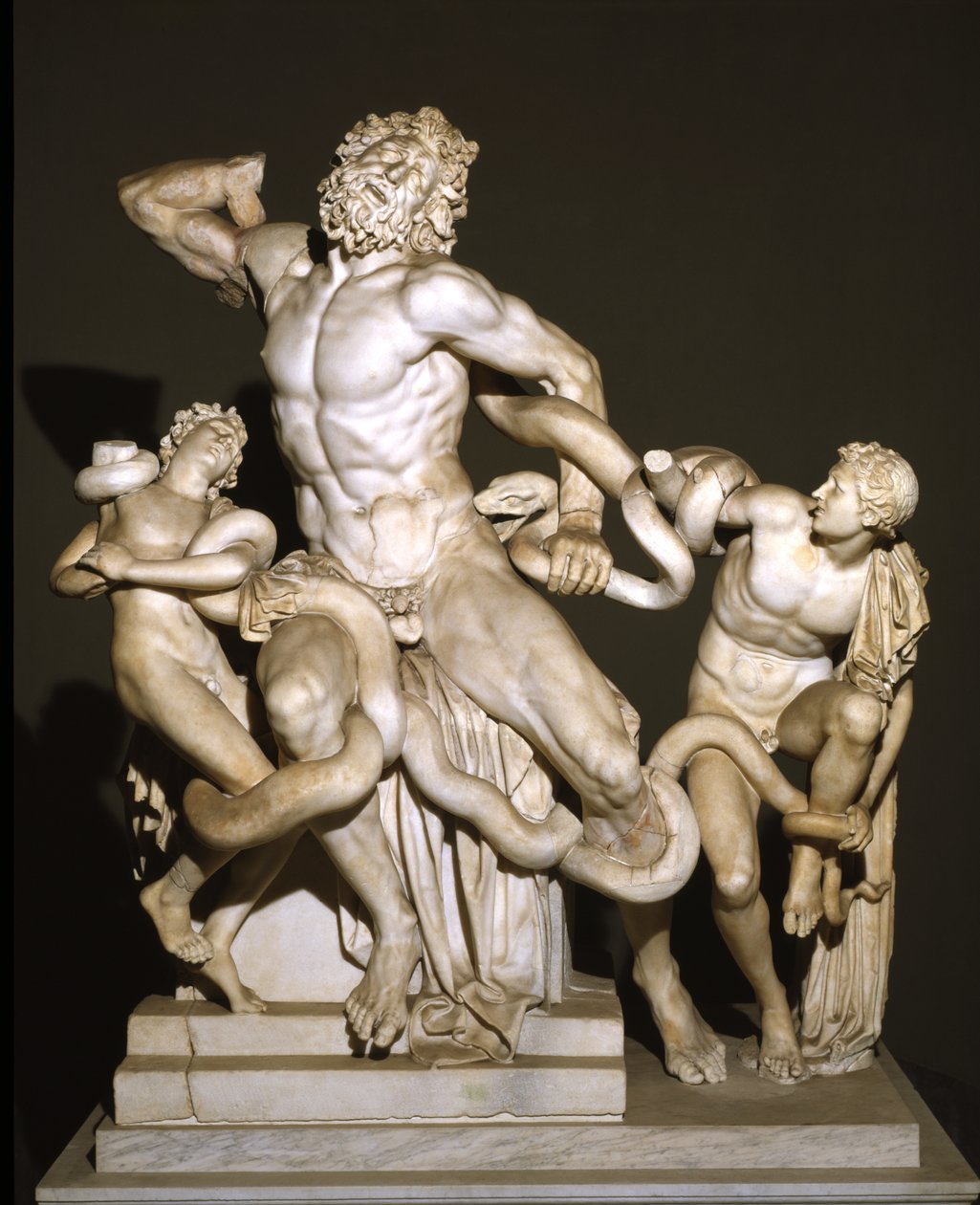 Laocoön en zijn zonen (marmer) door Roman