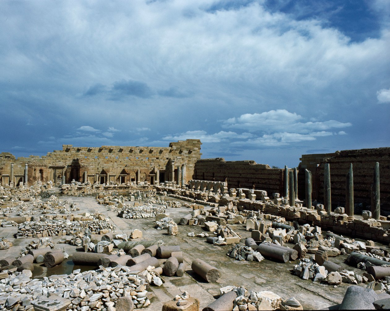 Zicht op het Forum van Septimius Severus door Roman