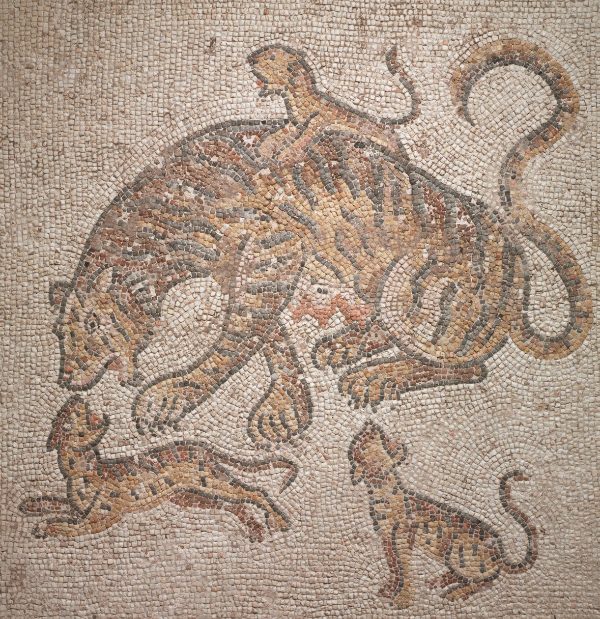 Tijgerin en welpen, 300s door Roman Imperial Period