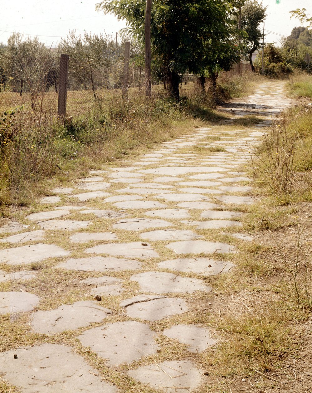 Via Flaminia, Rome door Roman Roman