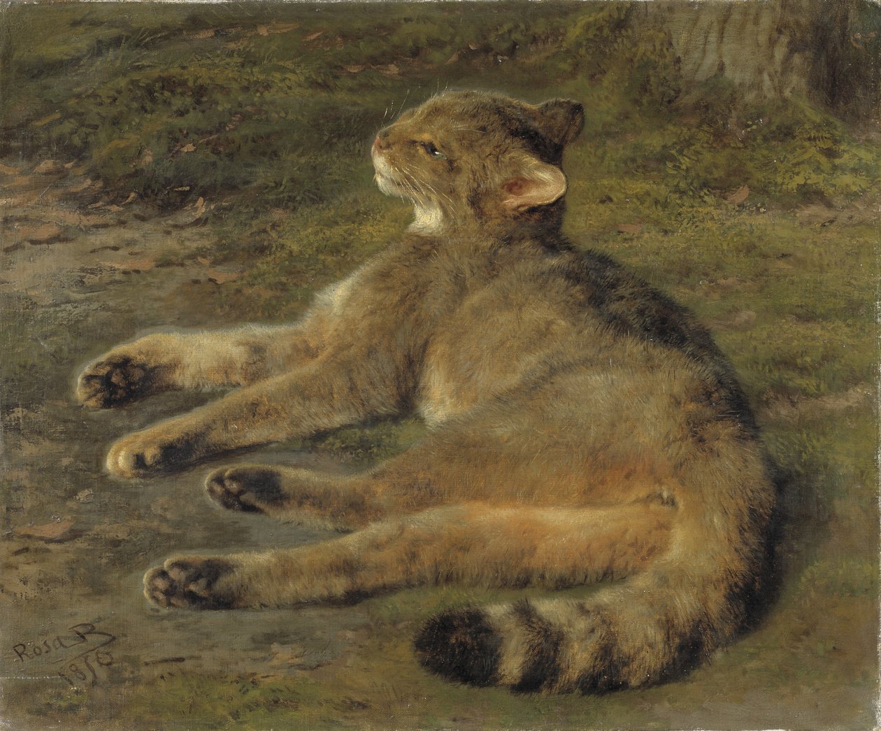 Wilde Kat, 1850 door Rosa Bonheur