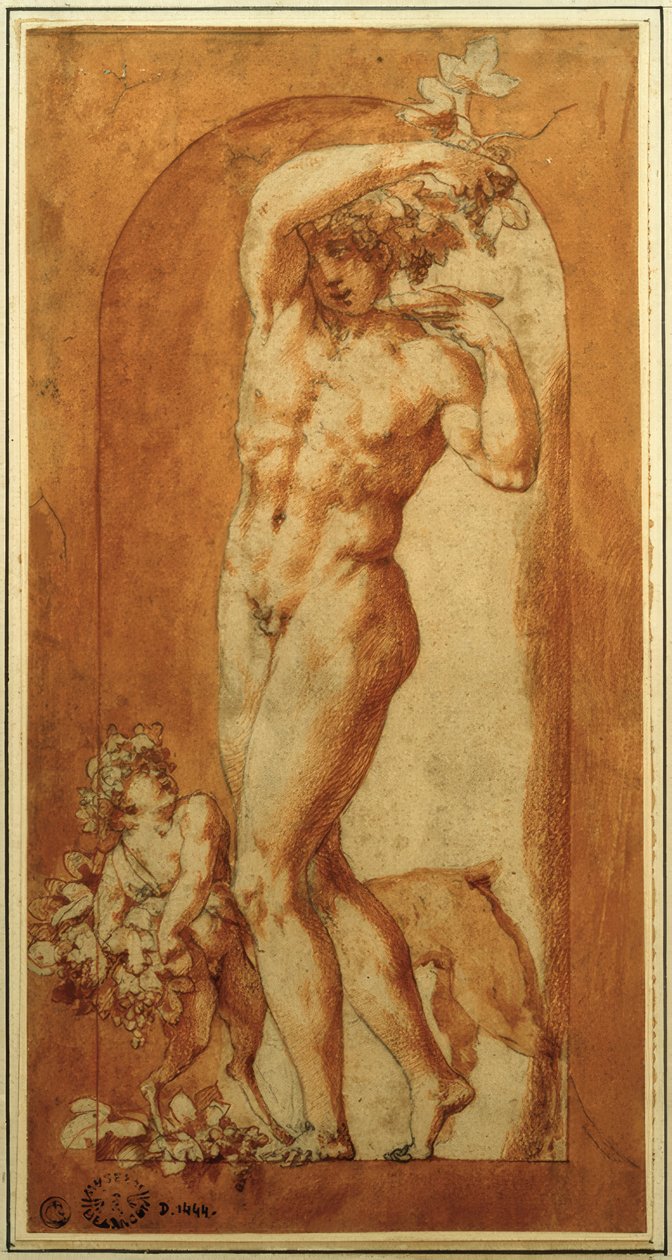 Bacchus in nis door Rosso Fiorentino