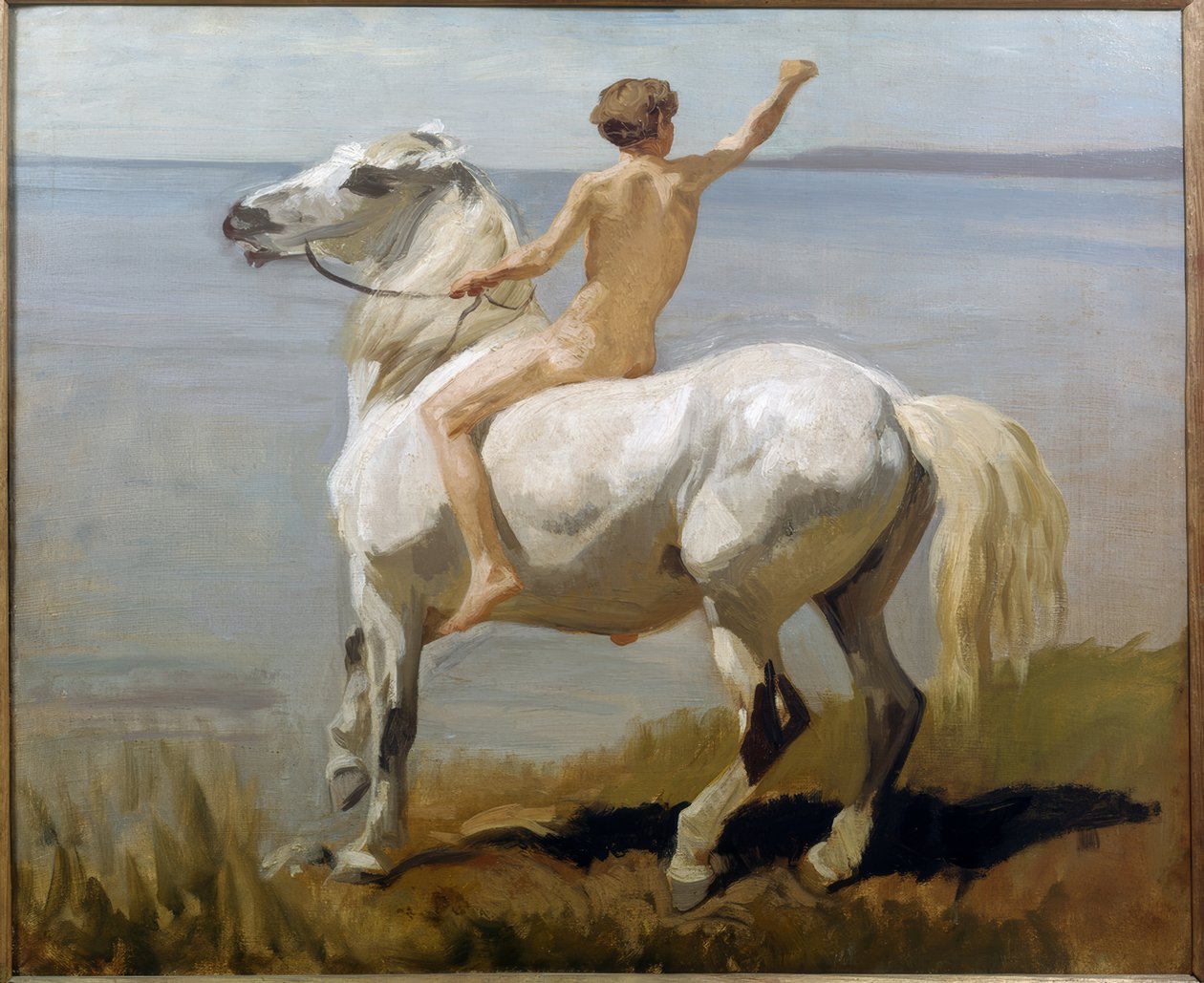Jongen op een wit paard door Rudolf Koller