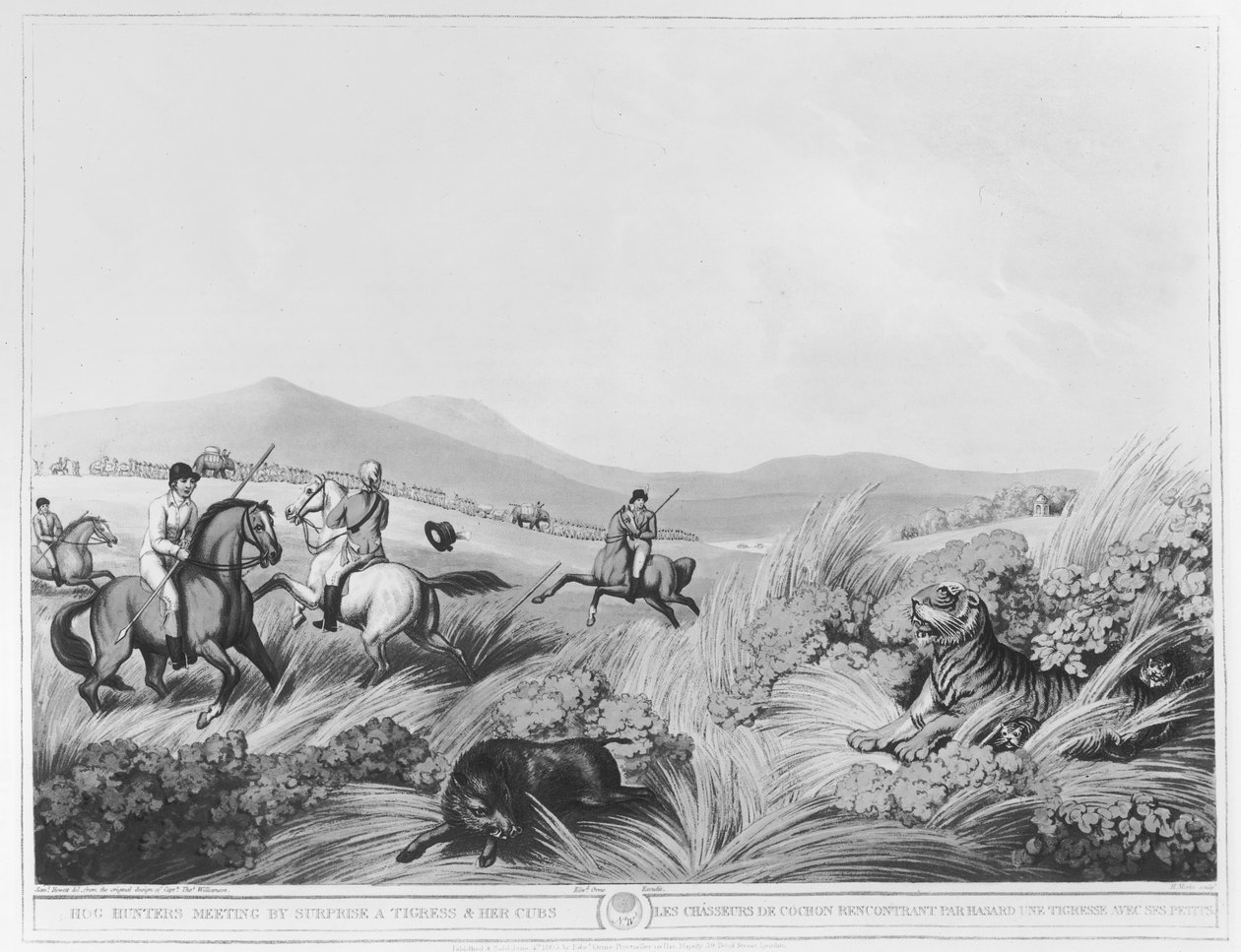 Hog Hunters ontmoeten onverwachts een tijgerin en haar welpen, gegraveerd door H. Merke naar een origineel ontwerp van Kapitein Thomas Williamson, uitgegeven door Edward Orme door Samuel Howett