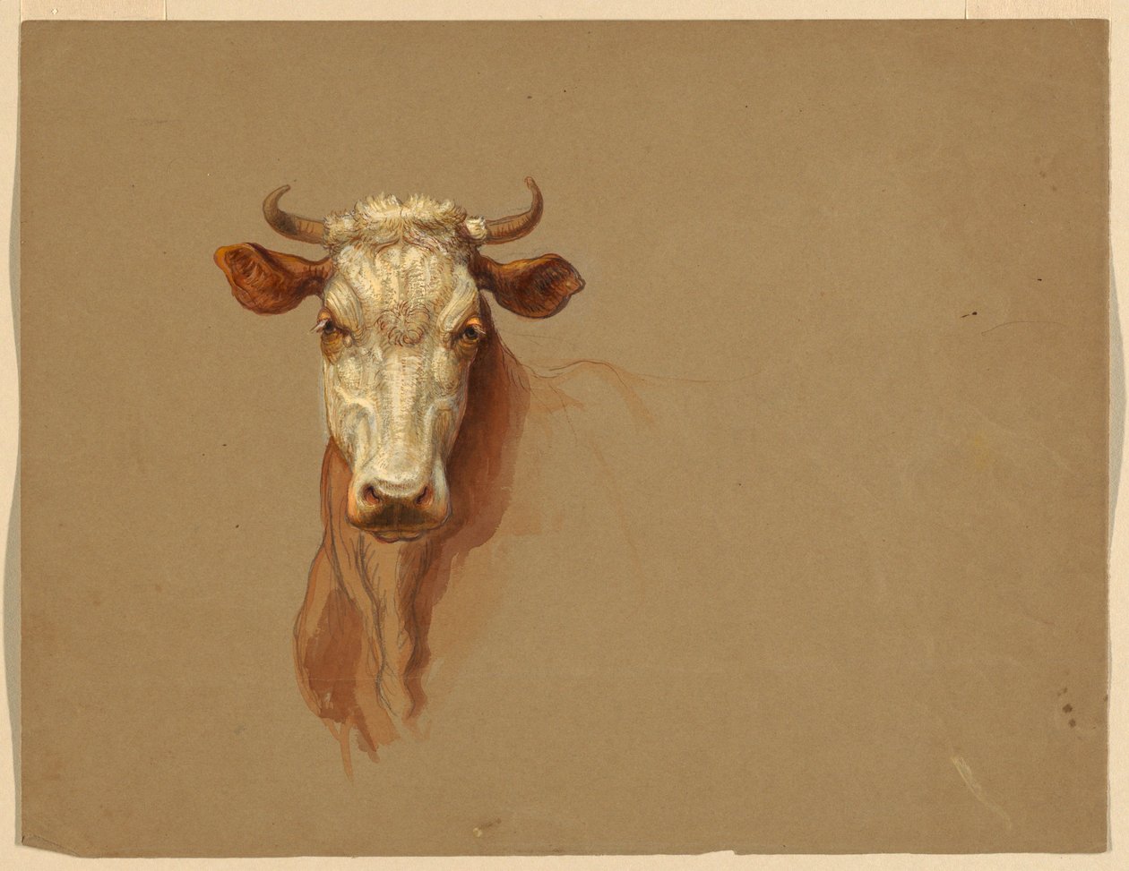 Tekening, Twee studies.  Vee, 1876 door Samuel Colman