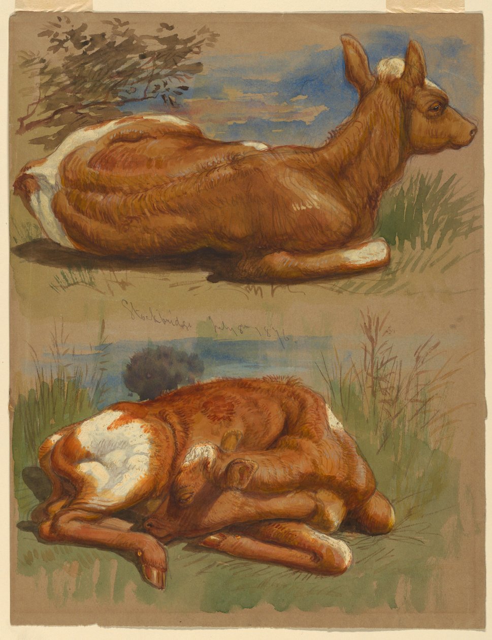 Studies van kalveren, Stockbridge door Samuel Colman