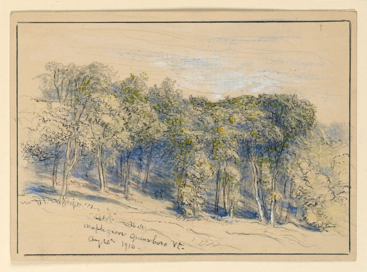 Studie van Maple Grove, Greensboro, Vermont door Samuel Colman