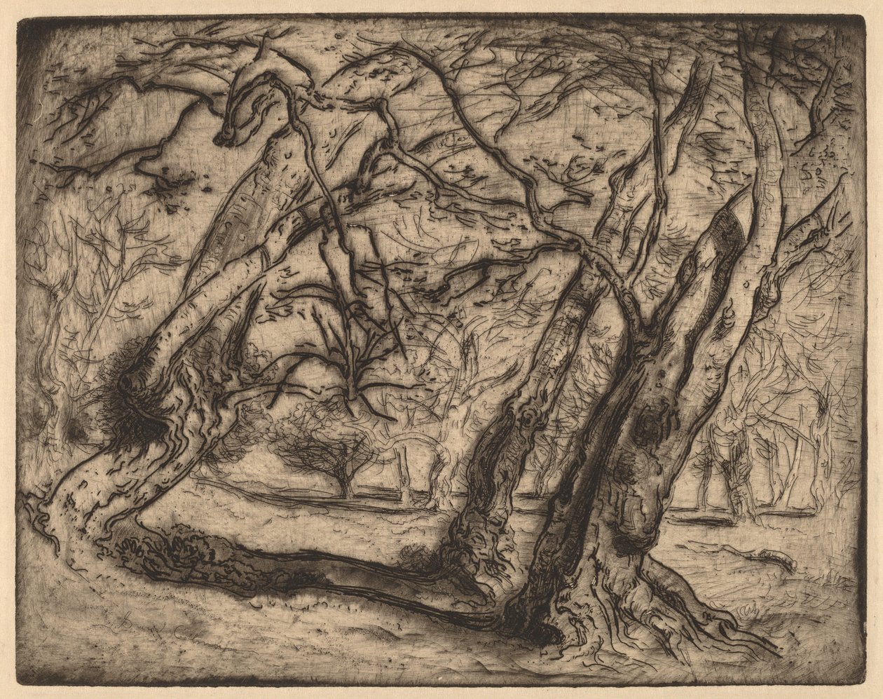 Zonder Titel (Boslandschap) door Samuel Colman