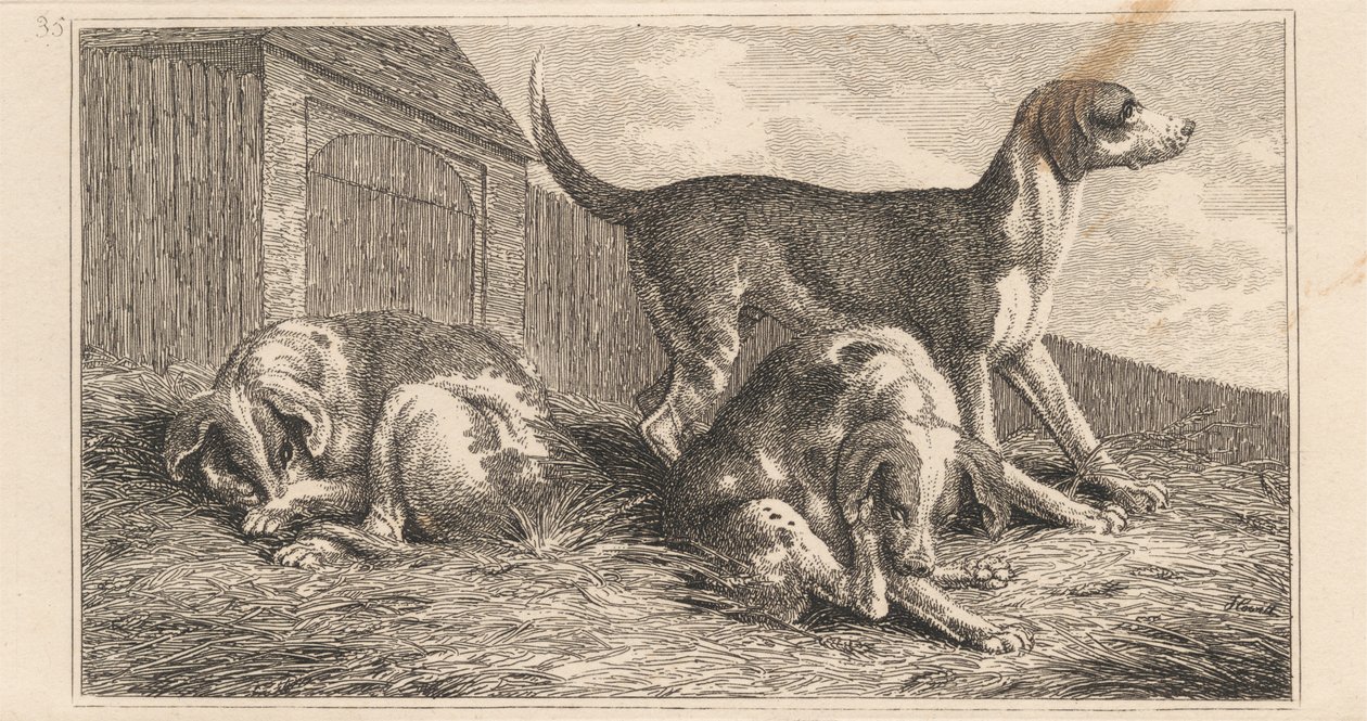 Drie honden door Samuel Howitt