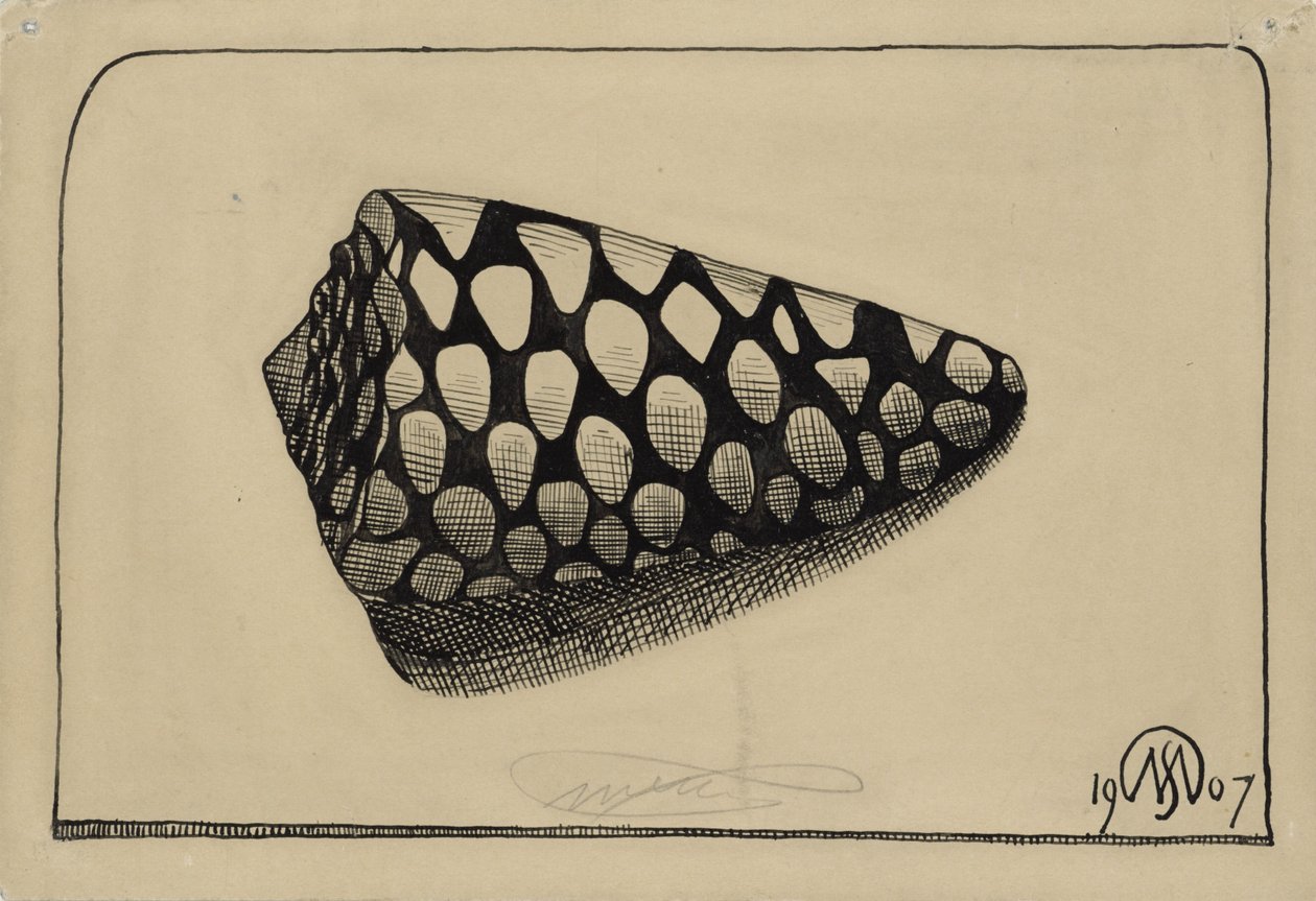 Schelp, naar rechts door Samuel Jessurun de Mesquita