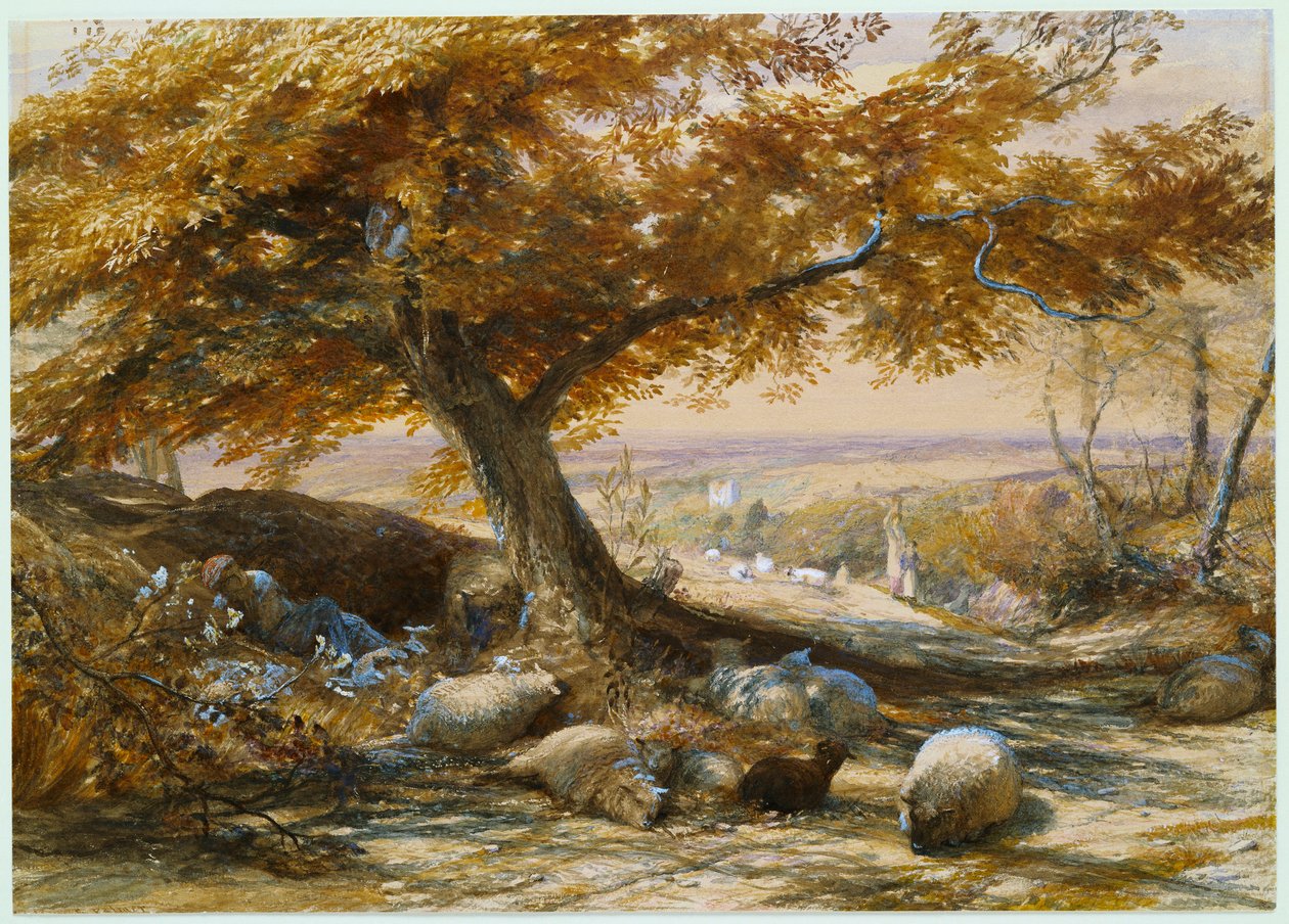 Schapen in de schaduw door Samuel Palmer