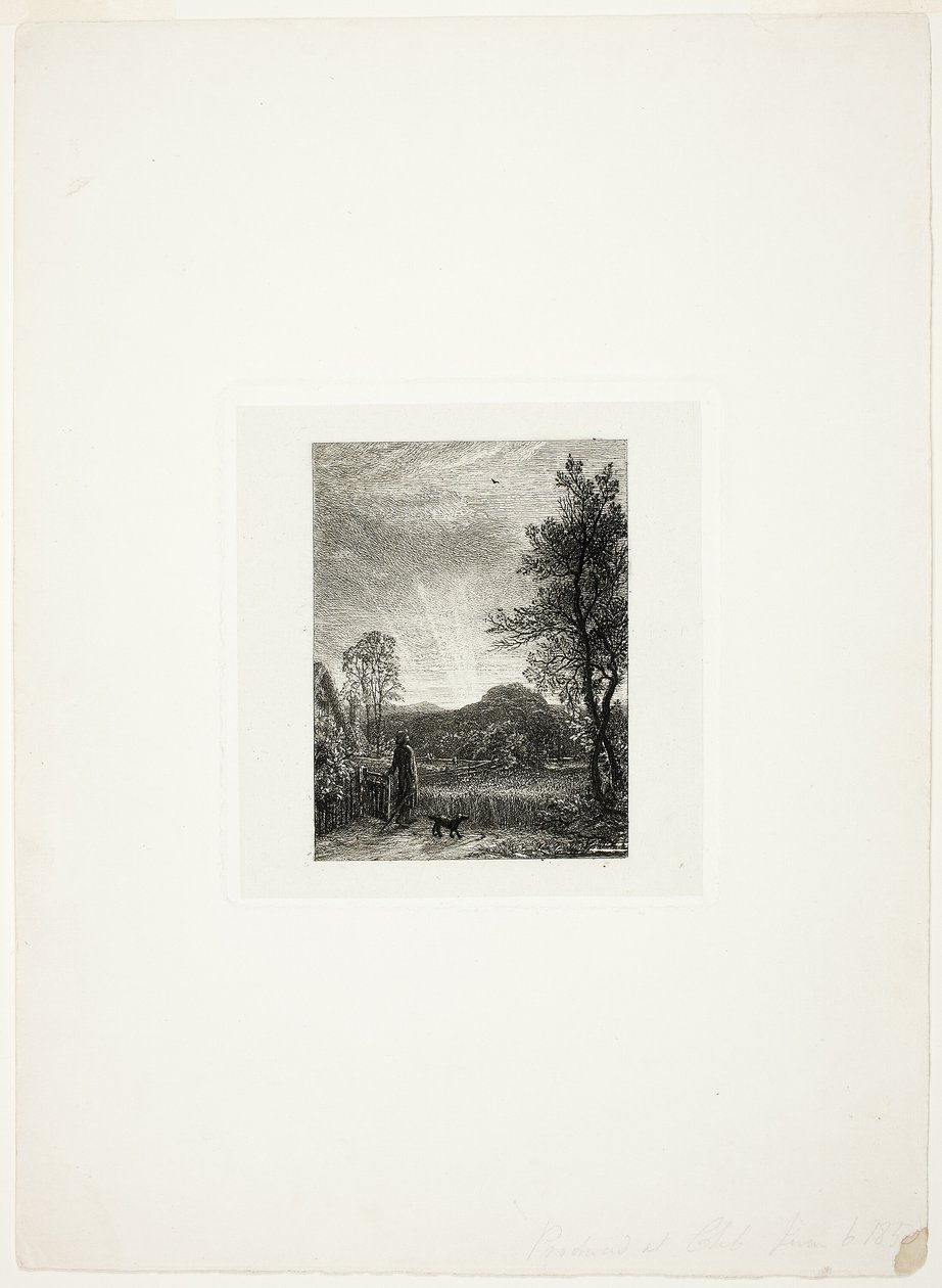De Veldleeuwerik door Samuel Palmer