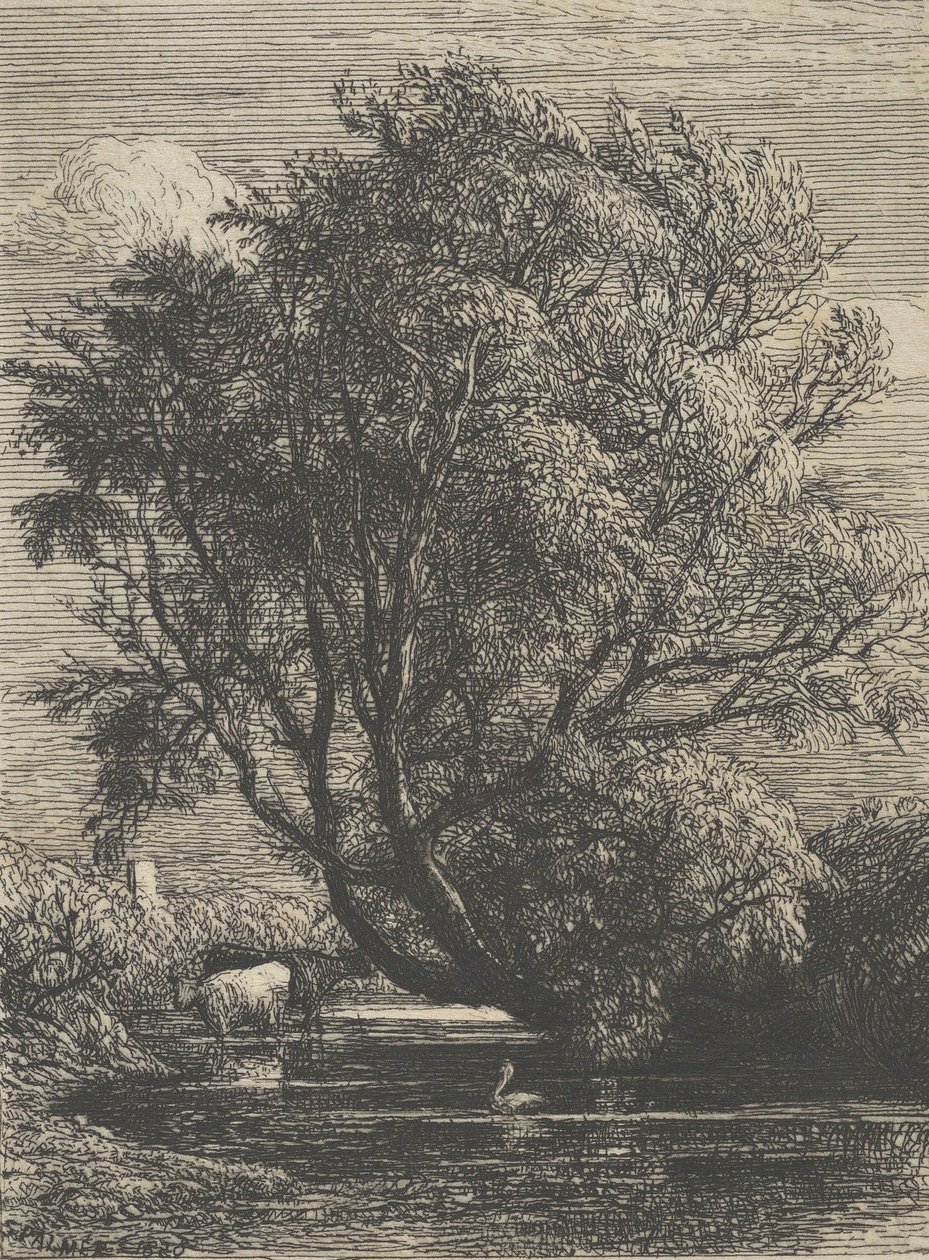 De wilg, 1850 door Samuel Palmer