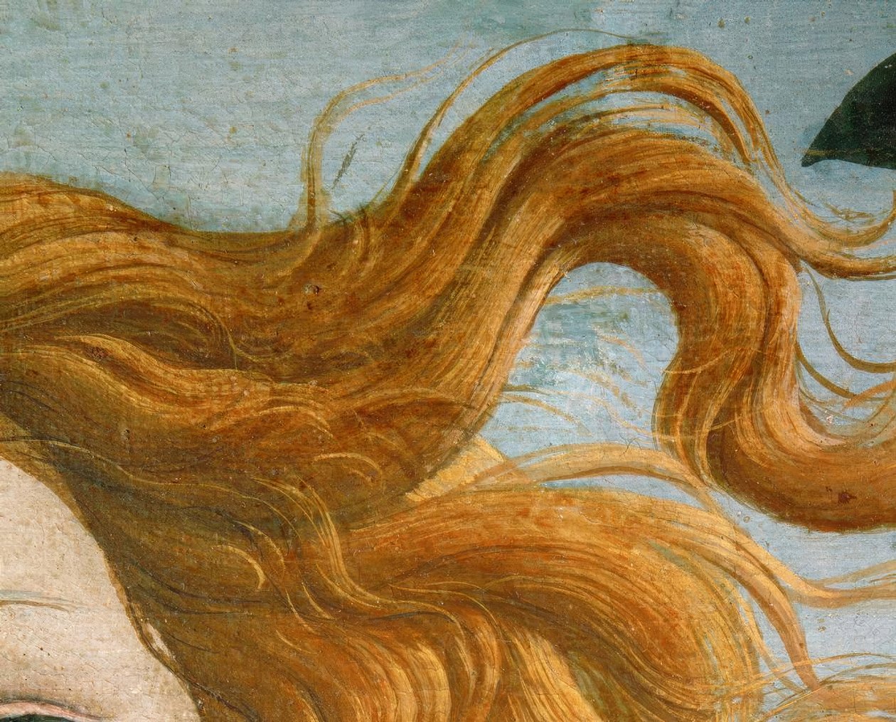 De geboorte van Venus door Sandro Botticelli