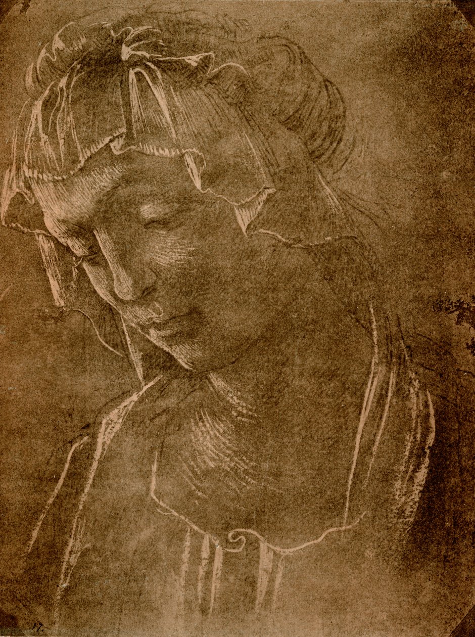 Vrouwelijk hoofd door Sandro Botticelli