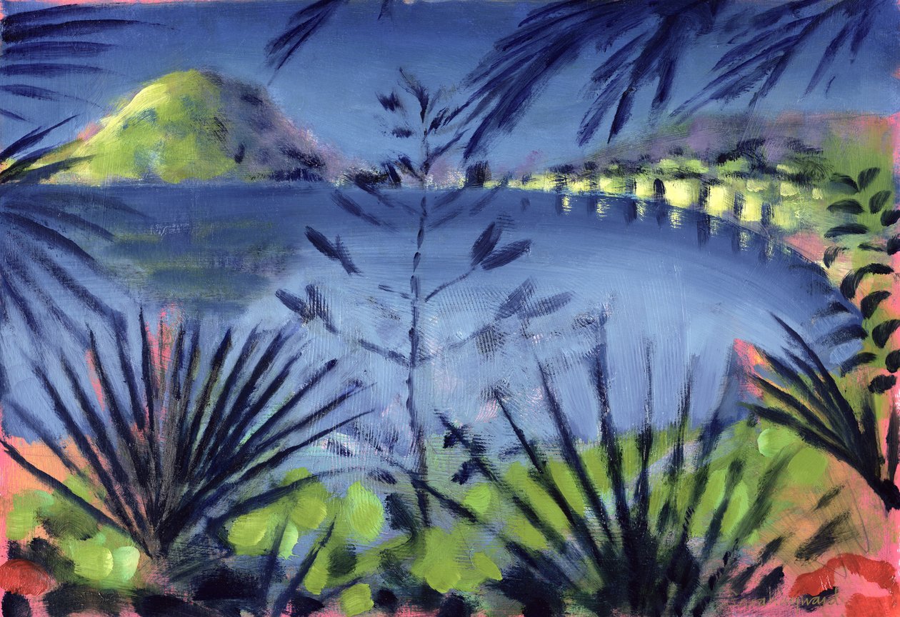 Over het Meer door Sara Hayward