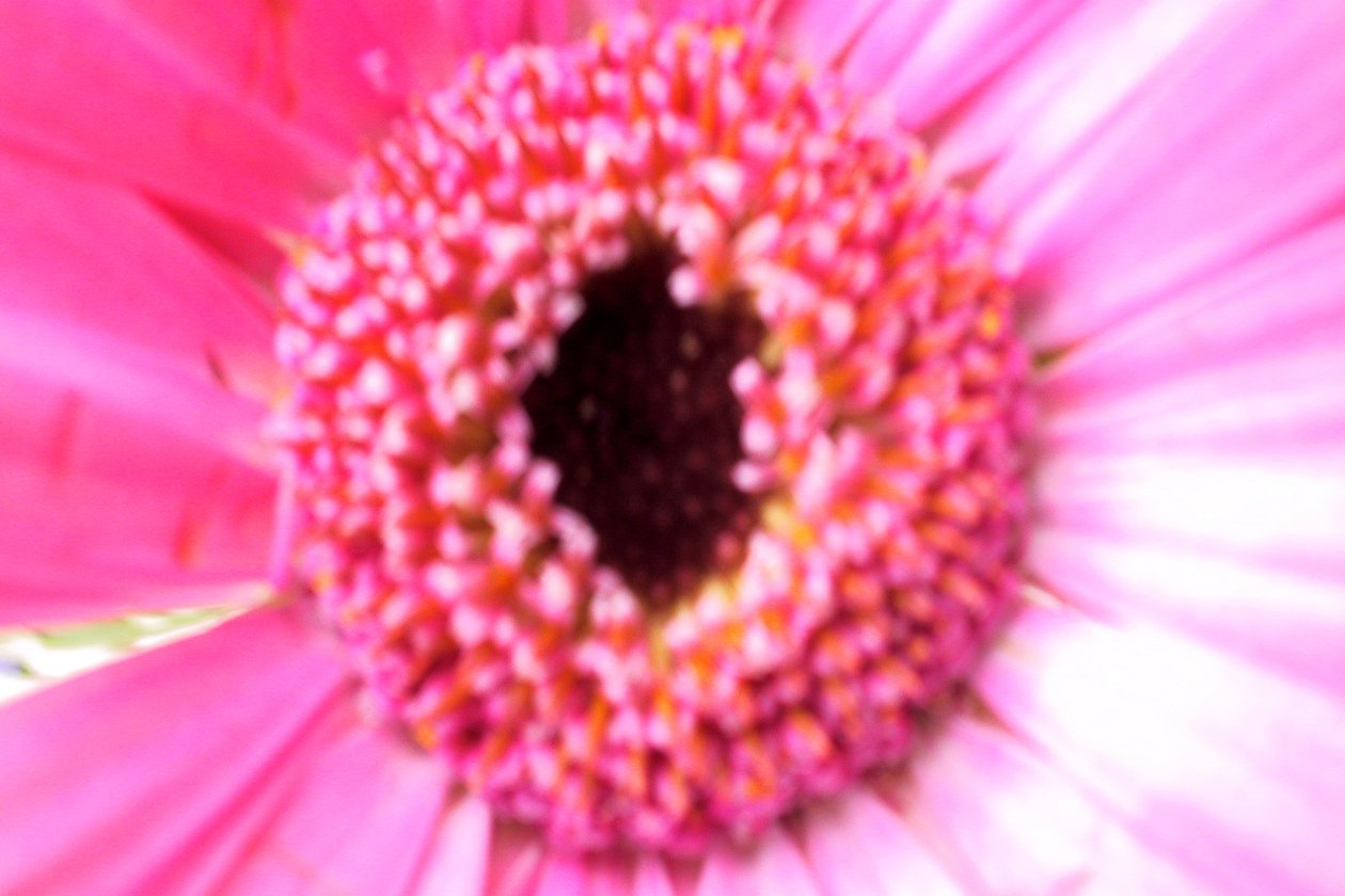 Bruidsmeisje Roze door Sarah OToole