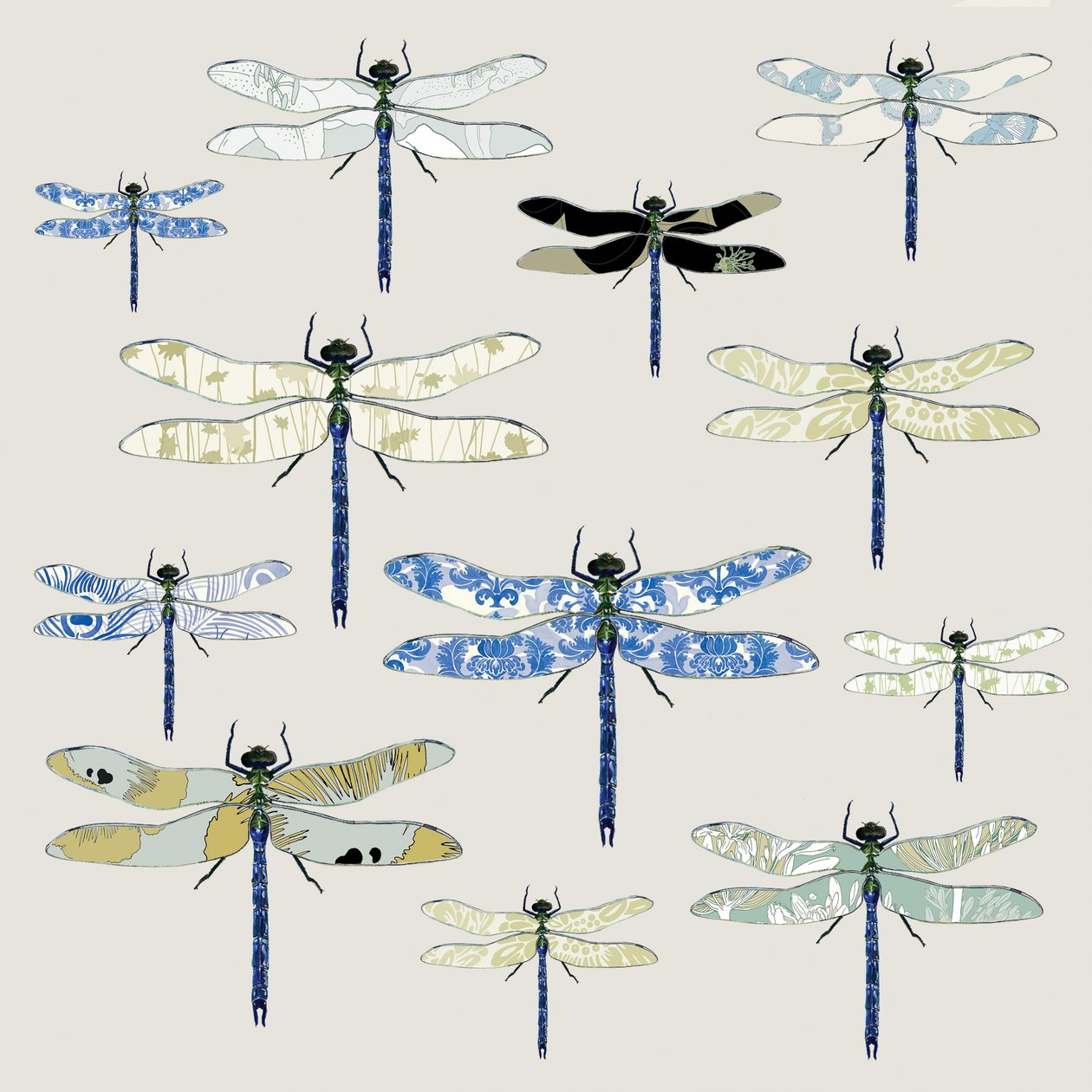 Odonata, 2008 door Sarah Hough