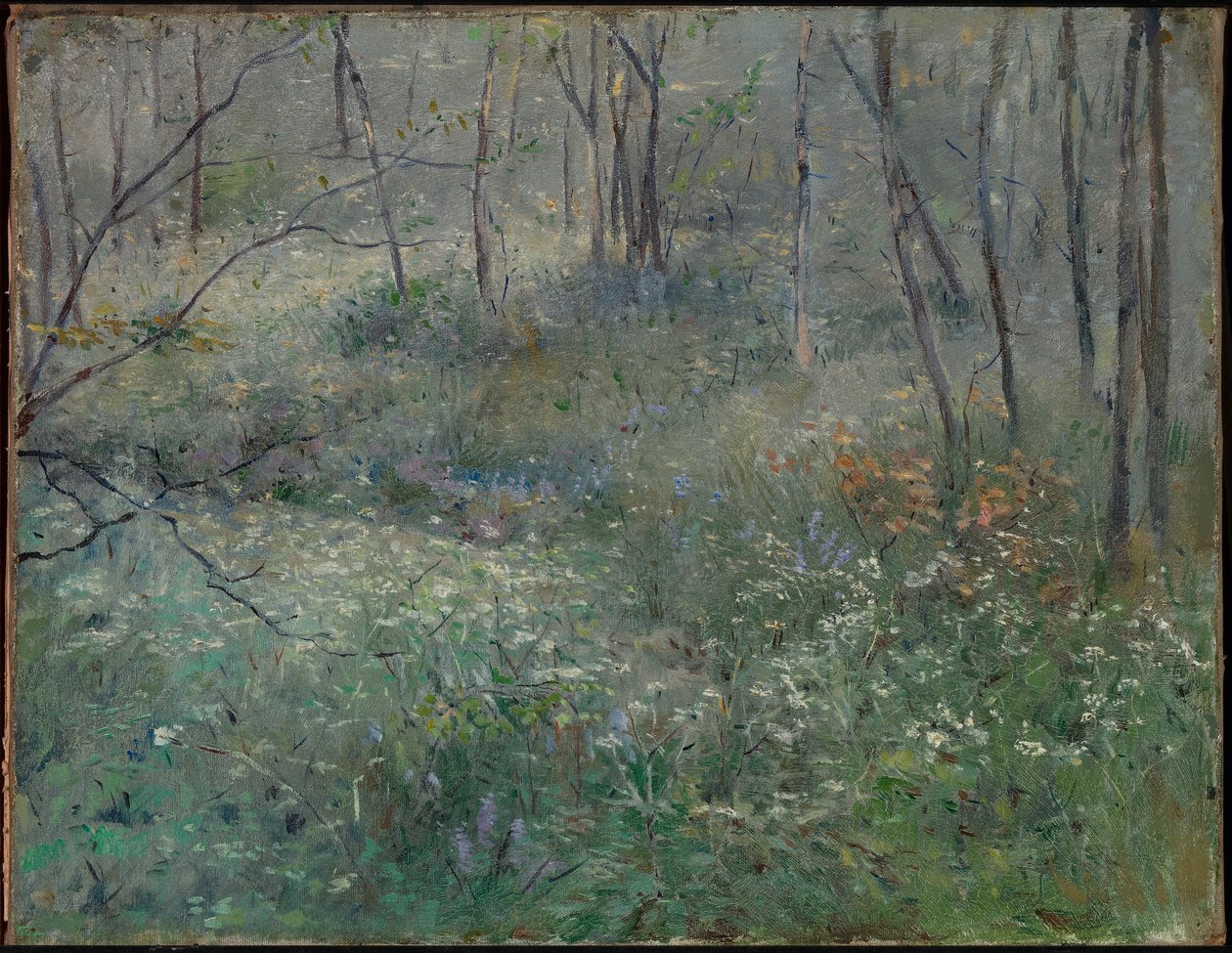 Wilde peterselie door Sarah Paxton Ball Dodson