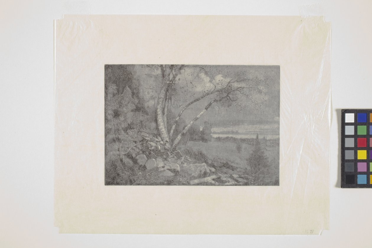Landschap door School American