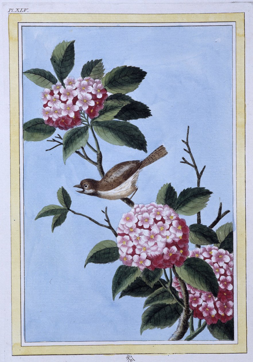Vogel - Japanse prent door Japanese School